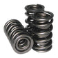 Howards Cams HC98441 Max Effort Mechanical Roller Valve Springs