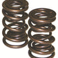 Howards Cams HC98541 Max Effort Mechanical Roller Valve Springs