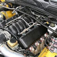 HOLLEY LS CHEV BB REPLICA COIL COVERS CHEV LS2/LS3 BLACK COMPOSITE HO242-1