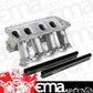 HOLLEY LS MODULAR EFI HI-RAM EFI INTAKE MANIFOLD BASE HO300-227 CHEV LS1 LS2 LS6