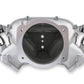Holley HO300-621 Chev LS Modular Lo-Ram EFI Intake Manifold Cathedral Port Heads Natural Finish