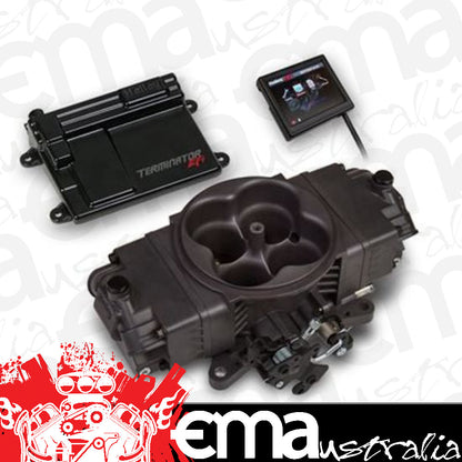 Holley HO550-441 Terminator Stealth EFI Fuel Injection System