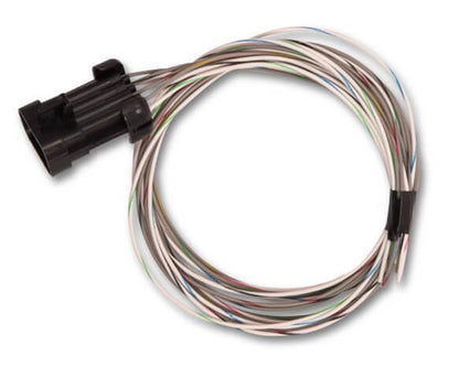 TERMINATOR X MAX EFI KIT