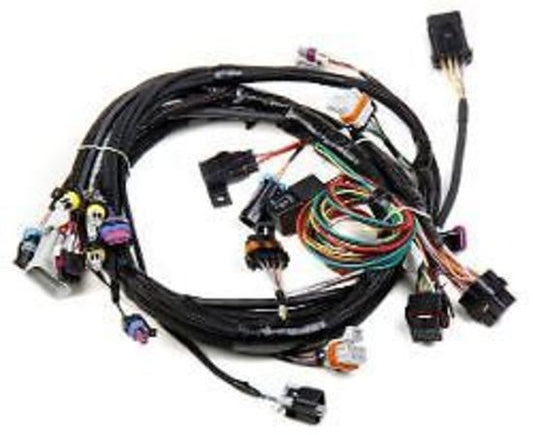 HOLLEY MAIN WIRING HARNESS LS1/LS6 24X CRANK SENSOR SUIT HP/DOMINATOR HO558-102