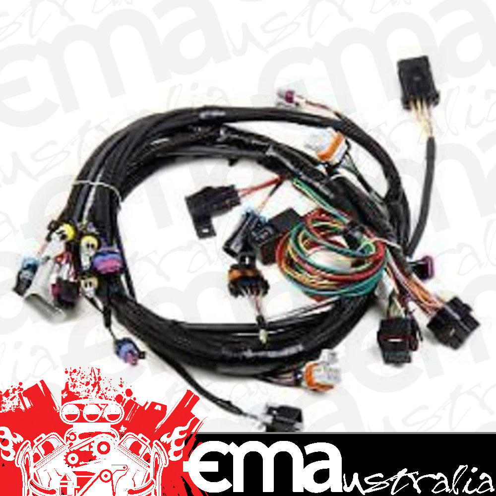 HOLLEY MAIN WIRING HARNESS LS1/LS6 24X CRANK SENSOR SUIT HP/DOMINATOR HO558-102