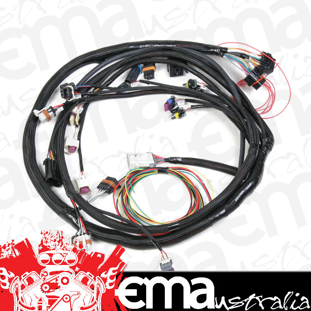 HOLLEY LS2/LS7 MAIN WIRING HARNESS HO558-103 SUIT HP & DOMINATOR EFI 58x SENSOR