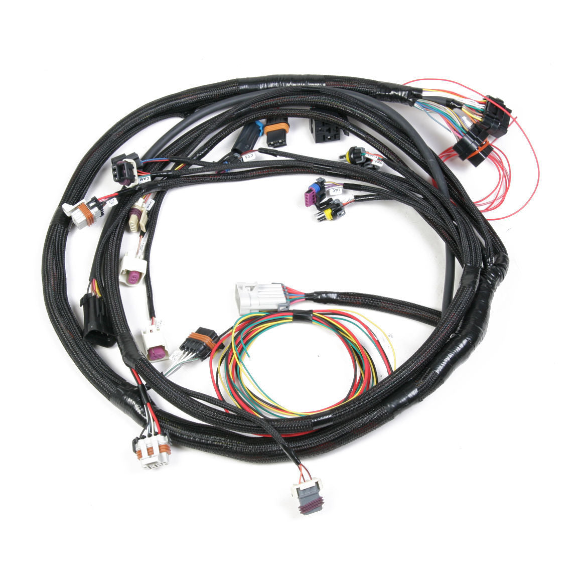 HOLLEY LS2/LS7 MAIN WIRING HARNESS HO558-103 SUIT HP & DOMINATOR EFI 58x SENSOR