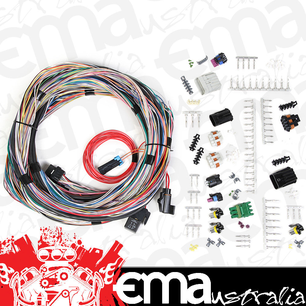 Holley HO558-105 Unterminated Universal Main Harness (Suit Holley HP EFI & Dominator EFI)