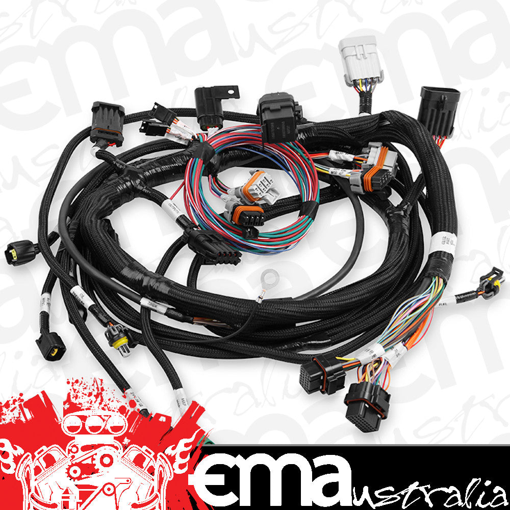 Ford Coyote Main Harness (Suit Holley HP EFI & Dominator EFI) (HO558-109)