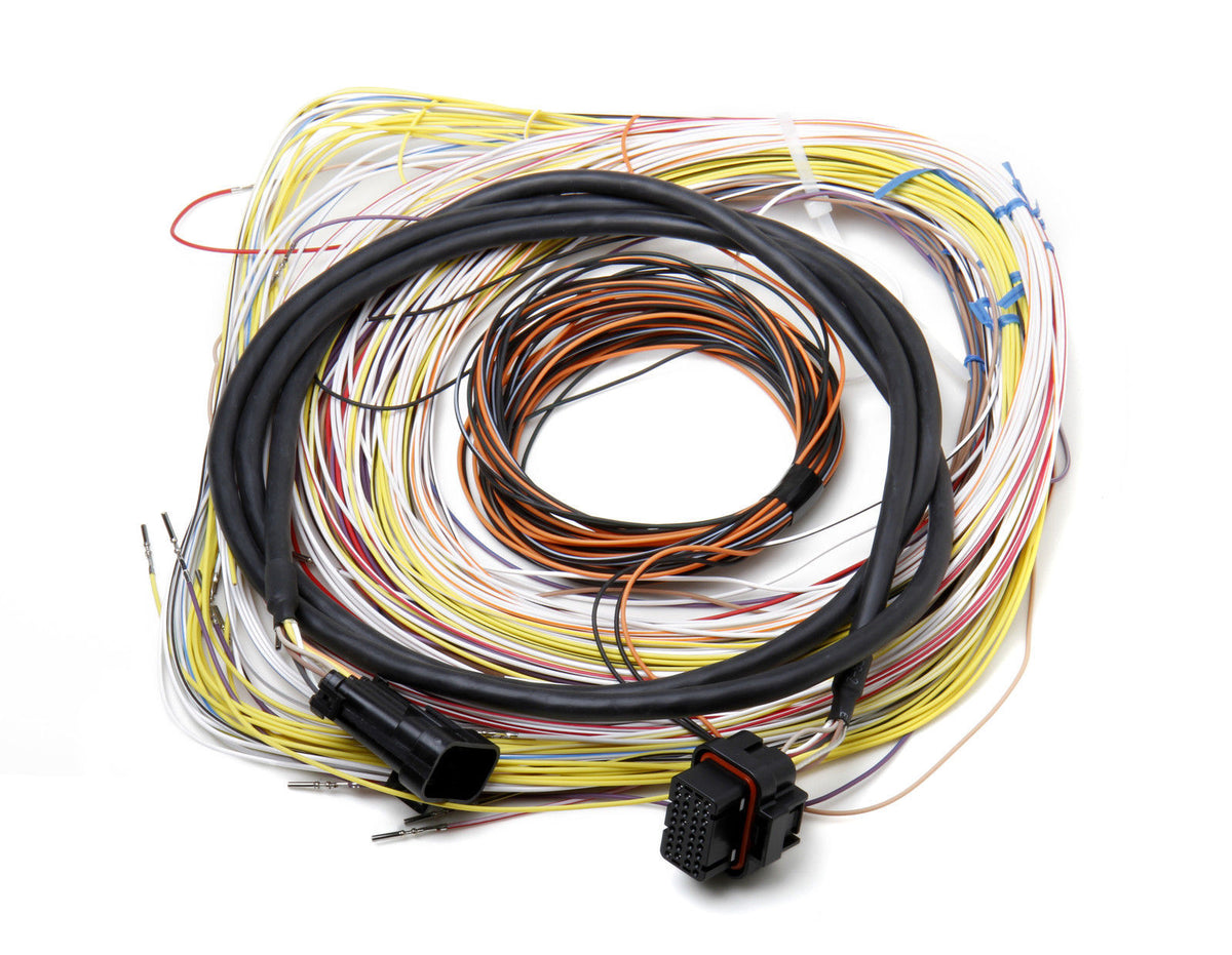 Holley | HO558-401 | AUXILIARY HARNESS J2A CONNECTOR SUIT DOMINATOR EFI