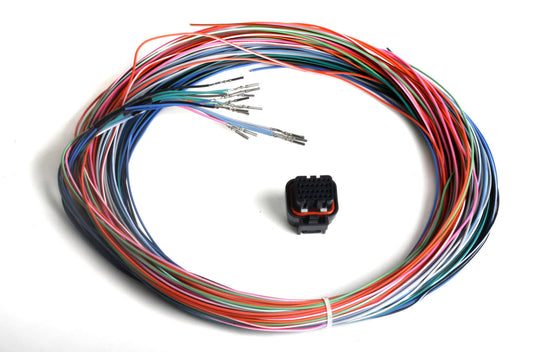 Holley Dominator EFI system AUXILIARY HARNESS J2B CONNECTOR SUIT Holley HO558-402