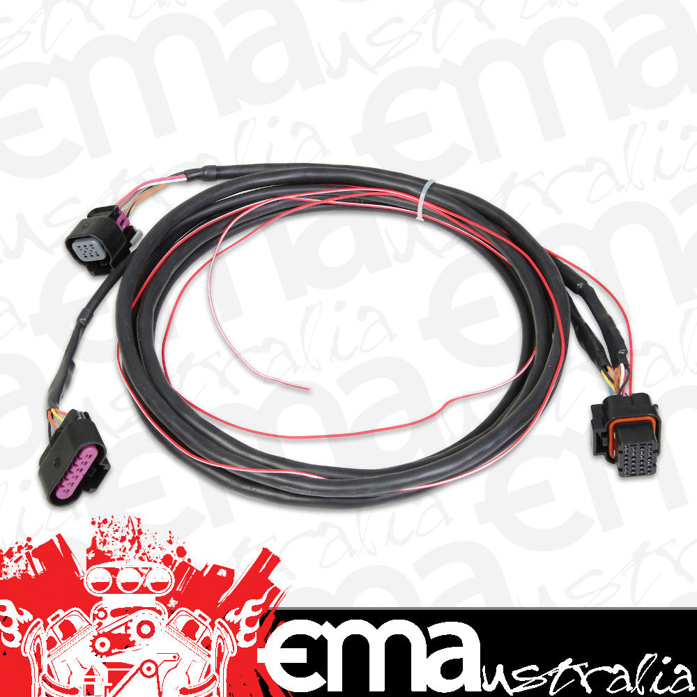 HOLLEY EFI GM DRIVE BY WIRE HARNESS HO558-406 SUIT DOMINATOR EFI