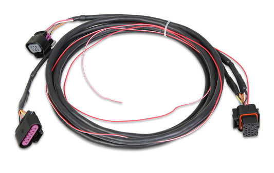 HOLLEY EFI GM DRIVE BY WIRE HARNESS HO558-406 SUIT DOMINATOR EFI