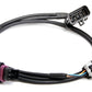 Crank/Cam Ignition Harness (Fully Terminated) (HO558-410)