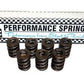 Isky ISK1250 PSI Triple Valve Spring 16 1.660" OD & 1.130" Coil Bind 395LB s @ 2.250" Seat Pressure, 1178LB s @ 1.200" Open Pressure