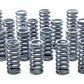 Isky ISK185G Single Valve Springs SetSuit Ford