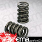 Isky ISK6205 Dual Valve Springs 320 LB /In 1.160" Bind Height 1.430" OD .725 ID