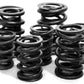 Isky Racing Cams | ISK8005A