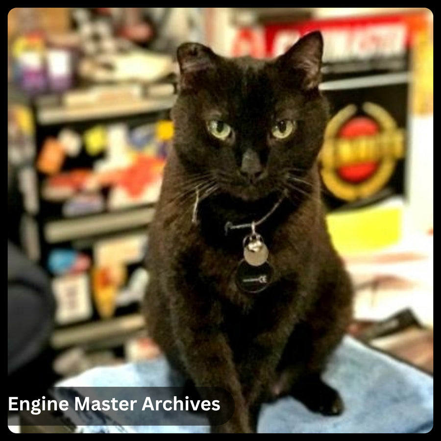 A furry shop supervisor