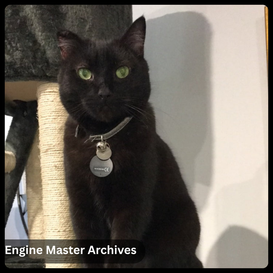 Another furry supervisor