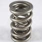 PAC Racing Springs PAC1205-16 Pac Racing RPM Series Ls Dual Valve Springs 1.304" OD Rate 392 Lbs