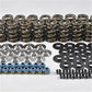 PAC Racing Springs PACKS18 Pac Racing Hot Rod Series Ls Dual Valve Spring Kit Chev LS1 LS2 LS3 V8