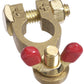 Projecta PJBT14-P1 Brass Battery Terminal - Positive 5/16" 8mm Wing Nut Style
