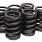 Performance Springs PS2E51892-16 Valve Spring Set 1.035" O.D 55 @ 1.390 For Subaru Ej20 Wrx .450" Lift