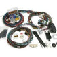 Painless Wiring PW20122 14 Circuit Harness Kit Ford Mustang 1969-70 Non EFI