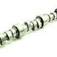Crow Cams CROW-51723 51723 Hydraulic Roller Camshaft 236/246@.50 .541/541" Holden 253-308