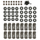 Engine Master EMA-174003 GM LS Dual Valve Spring Upgrade Kit