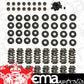 Engine Master EMA-174003 GM LS Dual Valve Spring Upgrade Kit