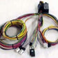 EZ Wiring EZ20MINI 20 Circuit Wiring Harness w/ Mini Fuses & Fuse Panel