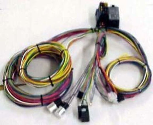 EZ Wiring EZ20MINI 20 Circuit Wiring Harness w/ Mini Fuses & Fuse Panel