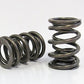Dual Valve Springs (Suit Honda 1.6L DOHC V-TEC 16 Valve B16A1/B16A3 1994-00 & B17A1/B18C1-C3 1992-00) (FVS10035-16)