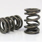 Dual Valve Springs (for Toyota Scion FR-S 4U-GSE & for Subaru BRZ FA20 2.0L DOHC 16-Valve 2012-15) (FVS10155-16)