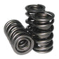 Howards Cams HC98443 Performance Street/Strip Valve Springs
