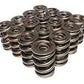 Isky ISK1249 Triple Valve Springs 1.660"OD 385LB @2.200" Seat 1110LB @1.200" Open