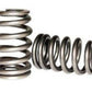 Isky ISK195-A Bhive Valve Springs Chev LS1 V8 120LB @1.8" Seat 360LB @1.175" Open